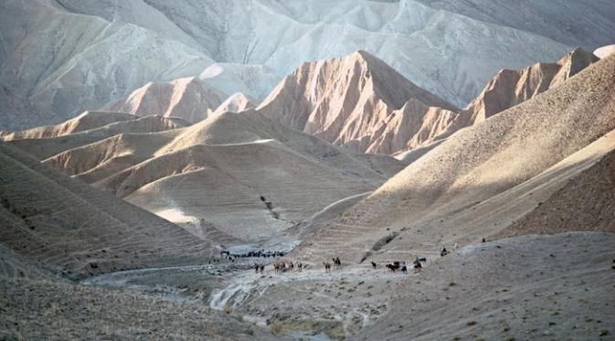 Kambing, domba, dan unta di pegunungan Badakhshan, Afghanistan, musim panas 1967. | via: Roland and Sabrina Michaud/akg images