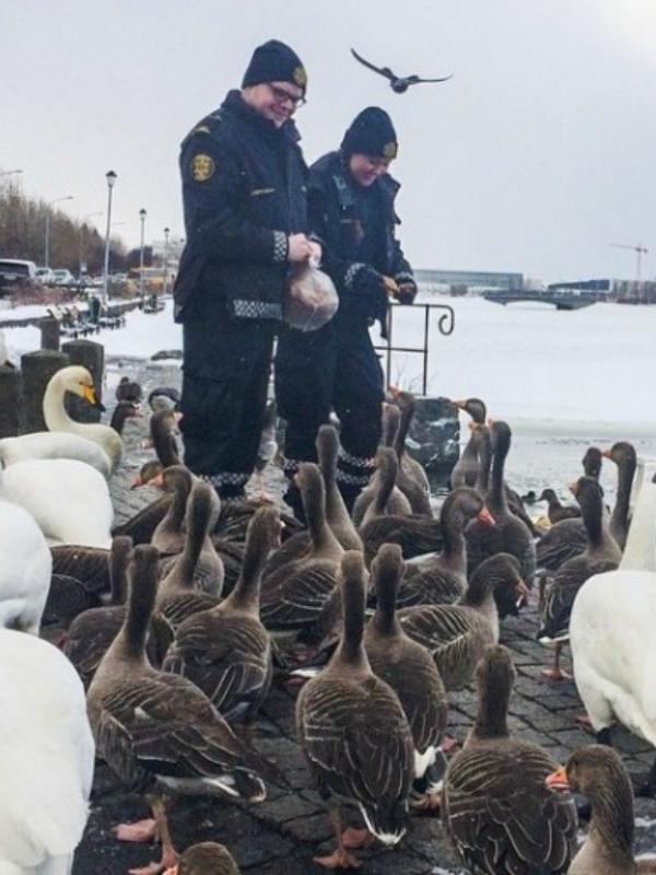 Polisi Islandia saking minimnya kejahatan mereka jadi gak punya kerjaan | Via: instagram.com