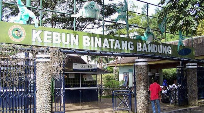 Kisah Menyeramkan Kebun Binatang Di Kota Bandung Lifestyle Fimela Com