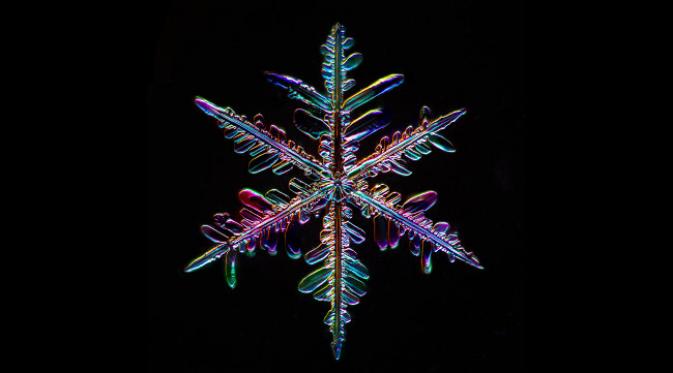 Kristal es terbentuk melalui interaksi air dan partikel debu dan serbuk sari di udara. (foto: Douglas Levere)
