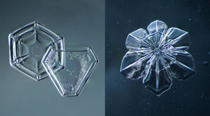 Tidak ada dua kristal es dengan bentuk sama. (foto: Douglas Levere)