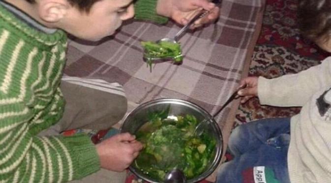 Anak-anak Suriah terpaksa makan rumput demi bertahan hidup. | via: Daily Mail
