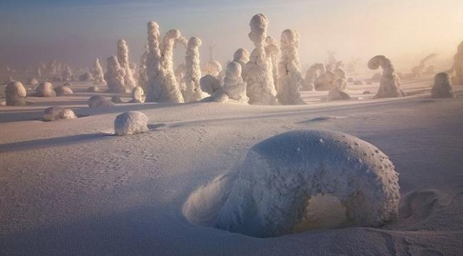 Pohon membeku di Finlandia jadi objek foto Niccolo Bonfandini (sumber. lostateminor.com)