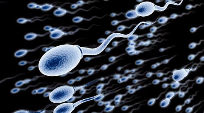 Ilustrasi Sperma | Via: istimewa