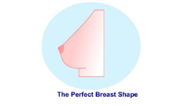 The perfect breast shape (sumber, medindia.net)