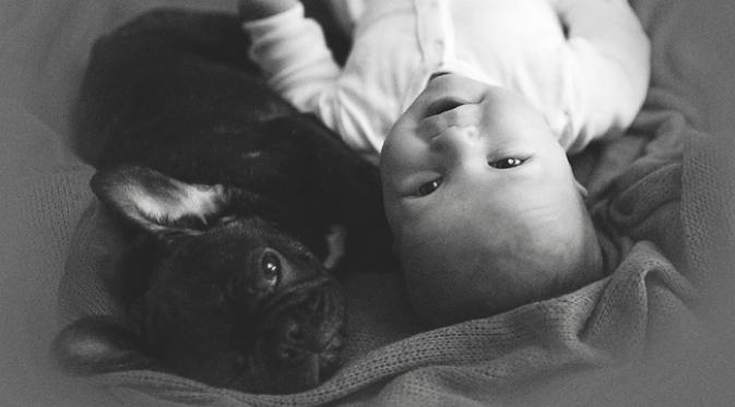 Bayi laki-laki, Dylan dan anak anjing Bulldog, Farley terlihat akrab layaknya sahabat (sumber. brightside.me)