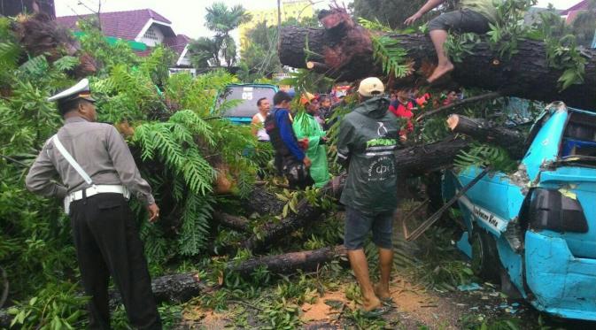 Sebuah mobil angkutan kota (angkot) tertimpa pohon besar di Makassar
