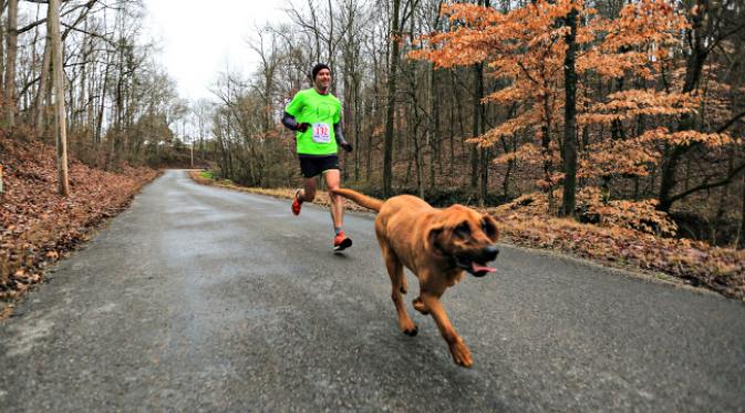 Anak anjing ini kabur dari rumah dan ikut lomba lari setengah maraton. (Sumber Gregg Gelmis/WeRunHuntsville via Runner's World)