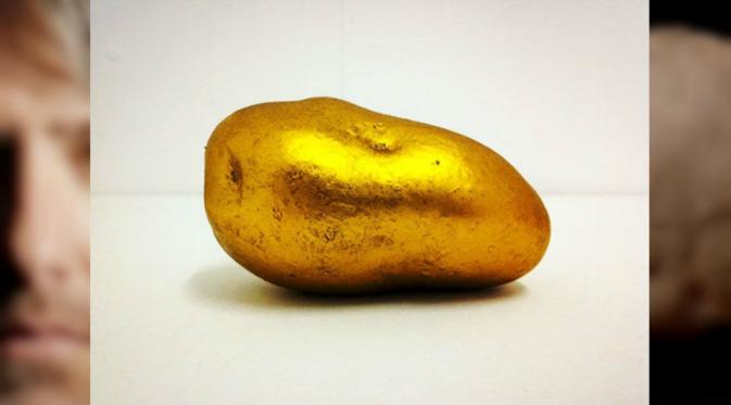 Salah satu foto kentang lainnya karya Kevin Abosch. (odditycentral)