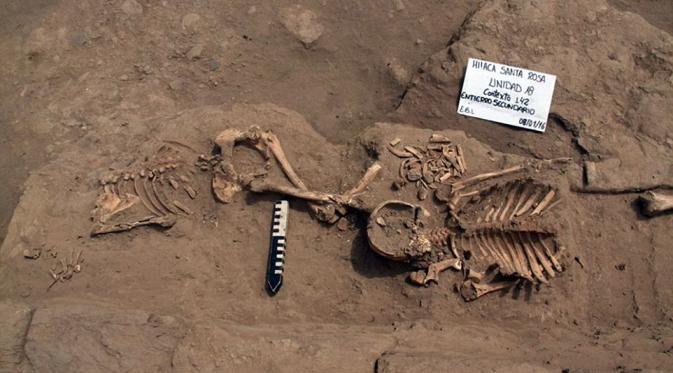 Posisi tulang belulang para wanita telah membuat bingung arkeolog. (Daily Mail)