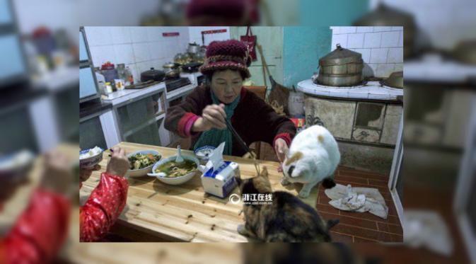 8 tahun sudah Weng Xiaoping menghabiskan sisa hidupnya untuk merawat dan memberi makan hewan-hewan peliharaannya dengan dibantu 2 karyawan.(Oddity Central)