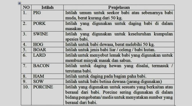Lembaga Pengkajian Pangan, Obat, dan Kosmetika Majelis Ulama Indonesia (sumber: Forum liputan6.com)