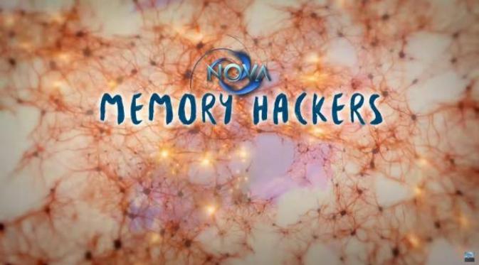 'Memory Hacker', temuan yang bisa menghapus dan menciptakan ingatan baru. (Youtube)