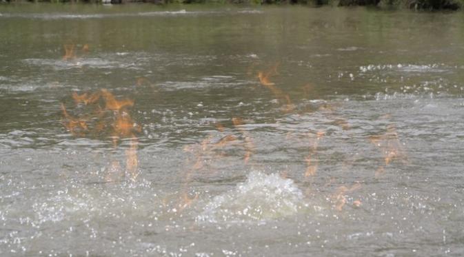 Gelembung yang hasilkan lidah api di Sungai Condamine, Queensland, Australia. (John Jenkyn/Facebook)