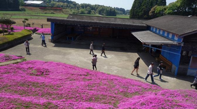Orang-orang mengunjungi taman bunga yang diciptakan Toshiyuki untuk sang istri Yasuko Kuroki (Shintomicho Office Government)