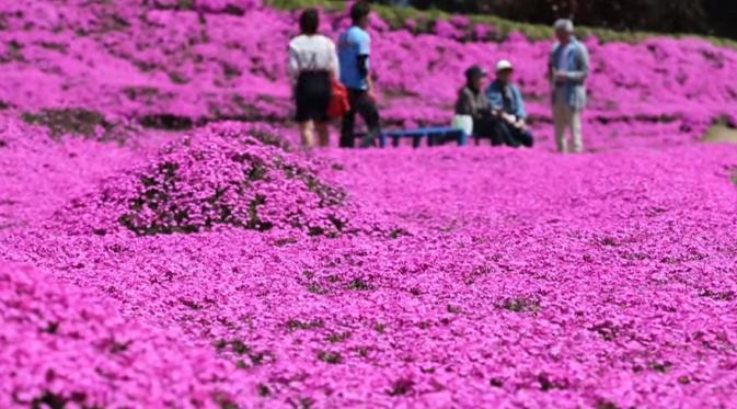 Taman bunga ini dibuat untuk membuat istrinya bangkit lagi dari kebutaan yang dialami. (Via: boredpanda.com)