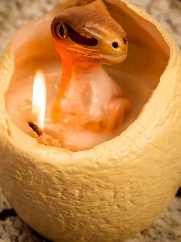 Lilin berbentuk telur dinosaurus (sumber. Brightside.me)