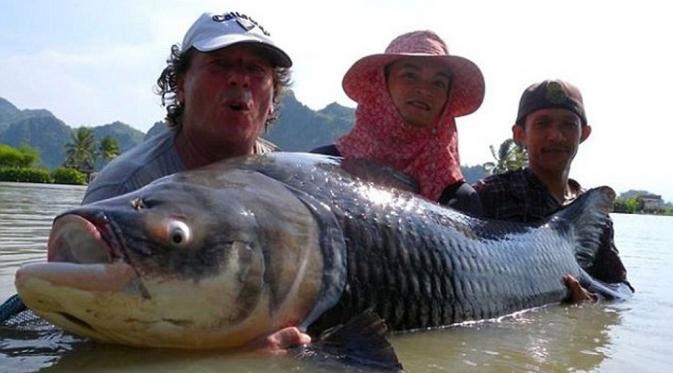 Ikan berukuran super besar di 'danau rahasia', Thailand. (Jurassic Mountain Resort & Fishing Park)