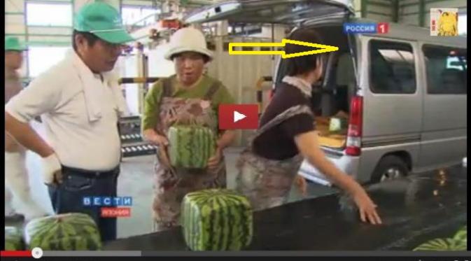 Mobil di Jepang cuma buat angkut sayur mayur dari desa ke kota | Via: youtube.com