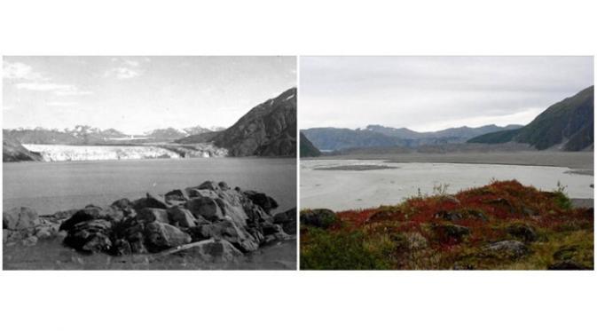 Gletser Carroll , Alaska. (Agustus, 1906 — September, 2003) (sumber.brightside.me)