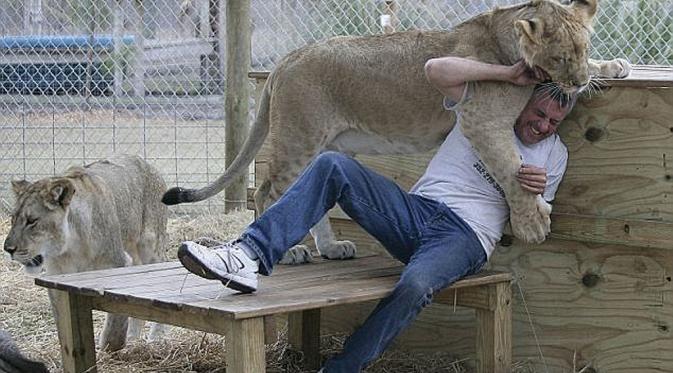Jim Jablon bersama dua ekor singa di pusat rehabilitasi hewan liar di Florida. (Splash News)