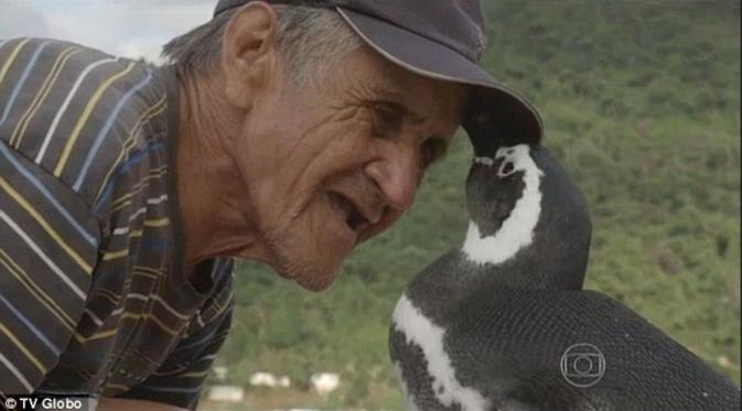 Joao Pereira de Souza bersama sang penguin, Dindim. (Globo TV)