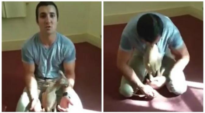 Polisi penyayang binatang ini mengadopsi bayi kanguru yang induknya mati tertabrak mobil di Australia. (Sumber video Yahoo!)