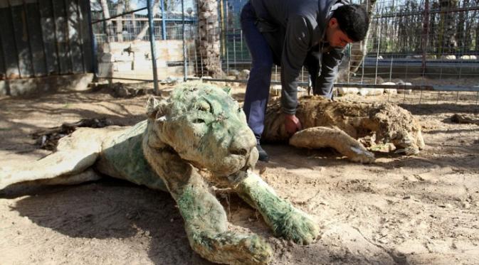 Miris, 10 Foto Ini Gambarkan Kepedihan di Kebun Binatang Gaza | via: indiatimes.com