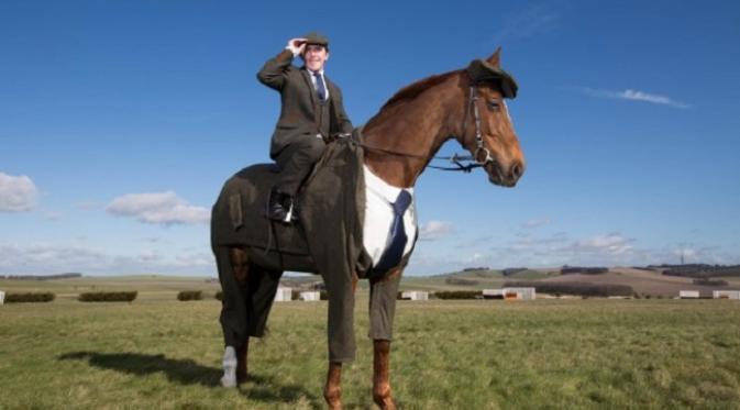 Kuda ini terlihat fashionable sebelum bertanding dalam  Cheltenman Festival (sumber. www.irishexaminer.com)