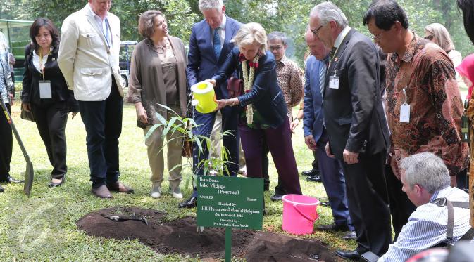 Putri Astrid (tengah) didampingi sejumlah Menteri delegasi Kerajaan Belgia menyiram pohon bambu (Bambusa lako Widjaja/Poaceae) yang baru ditanmanya di Kebun Raya Bogor, Jawa Barat, Rabu (16/3). (/Faizal Fanani)