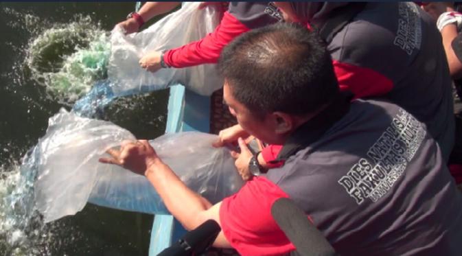 Beberapa alumnus Fakultas Hukum Universitas Hasanuddin melepaskan bibit ikan patin di Danau Unhas, Makassar, Sulsel. (Liputan6.com/Eka Hakim)