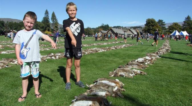 Perburuan kelinci di Selandia Baru 2015 | via: odt.co.nz