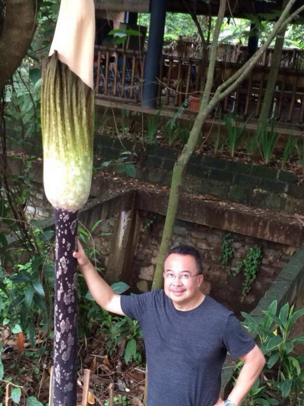 Pendiri Rumah Perubahan, Bapak Rhenald Kasali berfoto bersama bunga Amorphophallus Gigas