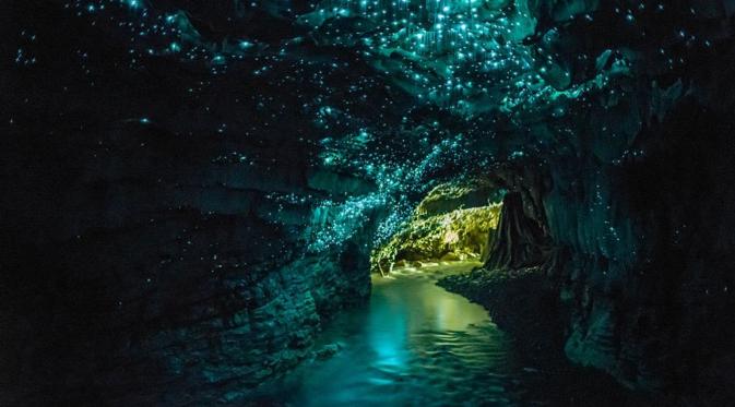 Gua Waitomo, Selandia Baru. (Huffington Post)