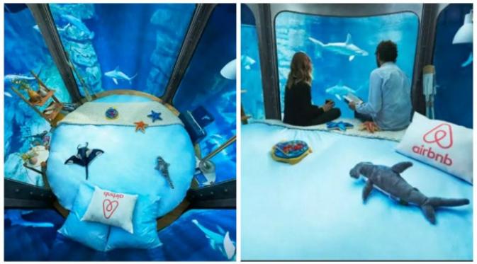 Undangan lomba menginap semalam di 'kamar' di dalam akuarium hiu di Paris. (Sumber laman Airbnb)