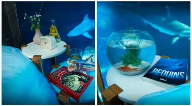 Undangan lomba menginap semalam di 'kamar' di dalam akuarium hiu di Paris. (Sumber laman Airbnb)