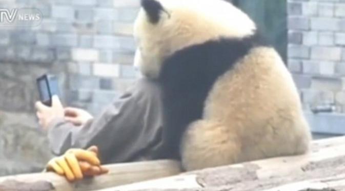 Manyuemei si panda 'selfie' bersama sang penjaga. (CCTV English/Youtube)