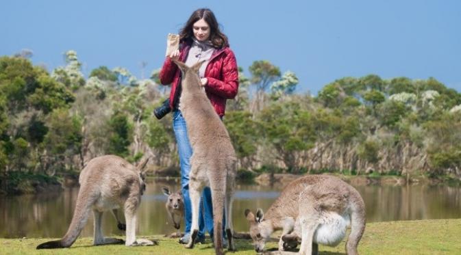 Phillip Island, Australia. (Natalia Pushchina/Shutterstock)