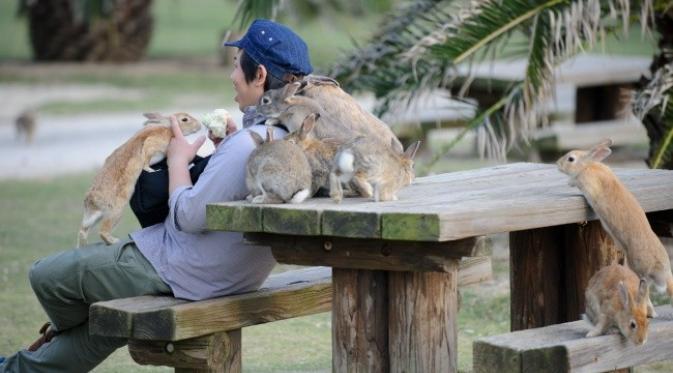 Rabbit Island, Jepang. (Fumie Matsunaka Friedl)