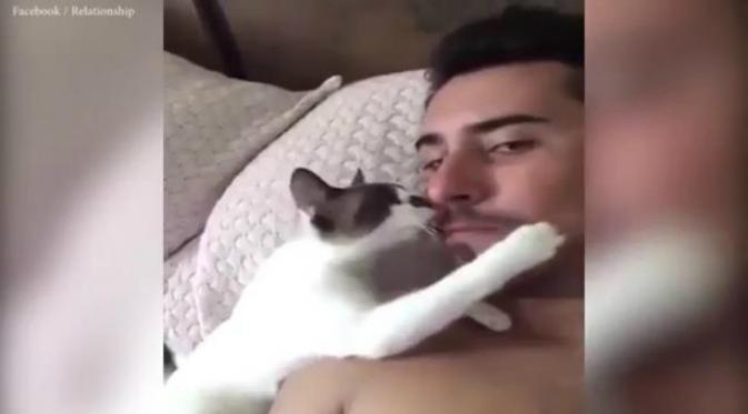Beberapa minggu setelah diposting, video kucing dan sang pemilik yang berciuman di bibir telah ditonton oleh 1,398,996 penyayang hewan.(Facebook Relationships)