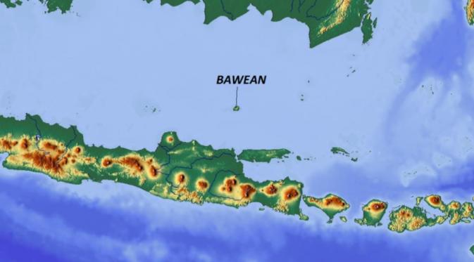 Spesies babi kutil hanya ada di Pulau Bawean (Wikipedia)