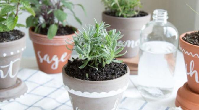 Memberi label nama tanaman pada pot. (Via: housebeautiful.com)