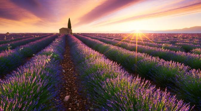 Provence, Perancis. (Beboy)