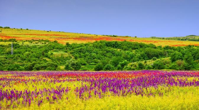 Plovidiv, Bulgaria. (ohluffstar)