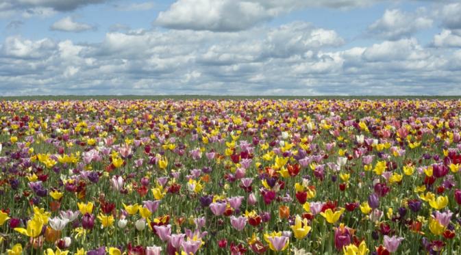 Woodburn, Oregon. (Ben Leshchinsky)