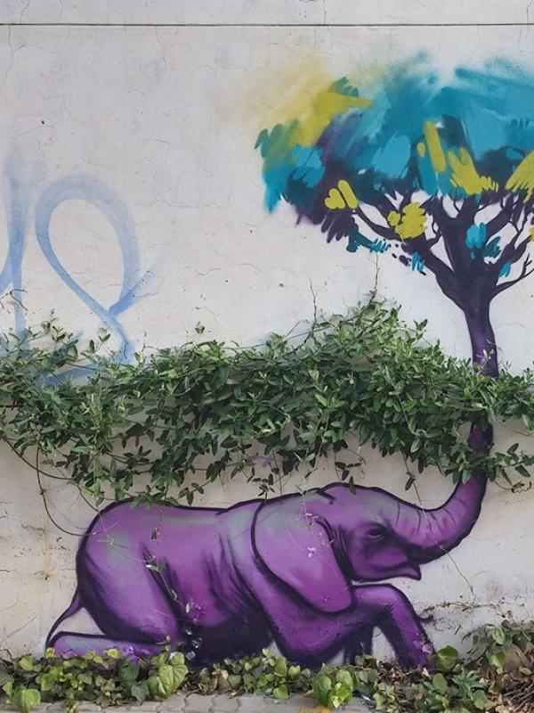 Gajah angkat pohon lagiii~ (Via: boredpanda.com)
