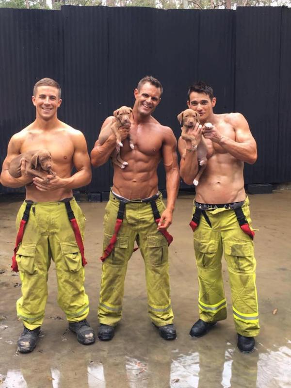 Pose Seksi Para Pemadam Kebakaran Bersama Anak Anjing. Sumber : mymodernmet.com