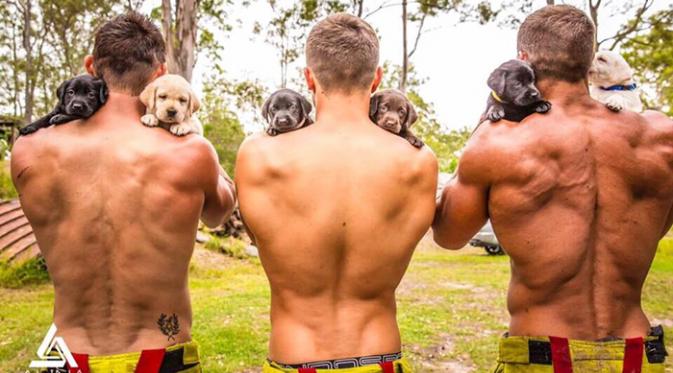 Sambil membawa anak anjing terlantar pinjaman dari Safe Haven Animal Rescue, mereka pun berpose hanya menggunakan celana. (Instagram/firefighterscalendar)