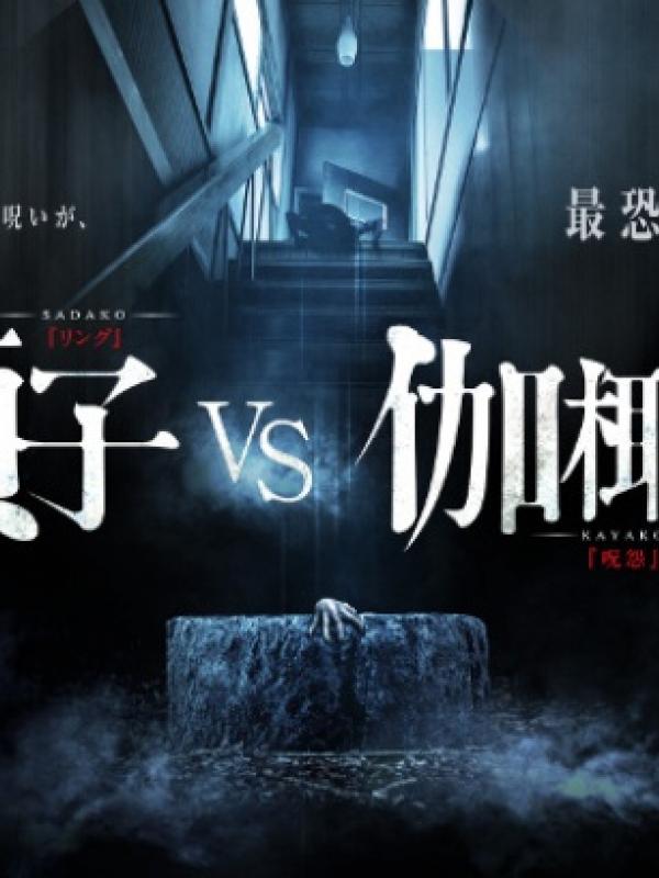 Film horor Sadako vs. Kayako. (twitchfilm.com)