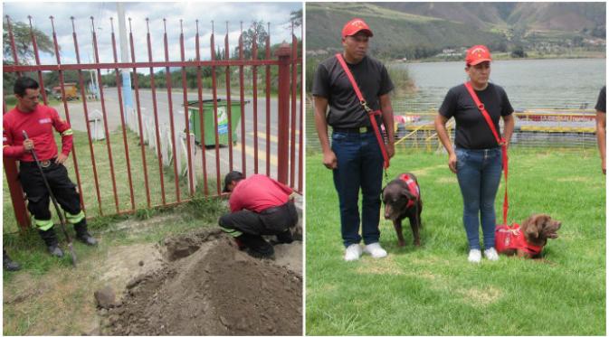 Anjing jenis Labrador bernama Dayko kemudian mati dalam melaksanakan tugasnya. (Sumber Cuerpo De Bomberos Ibarra Ibarra via Facebook)